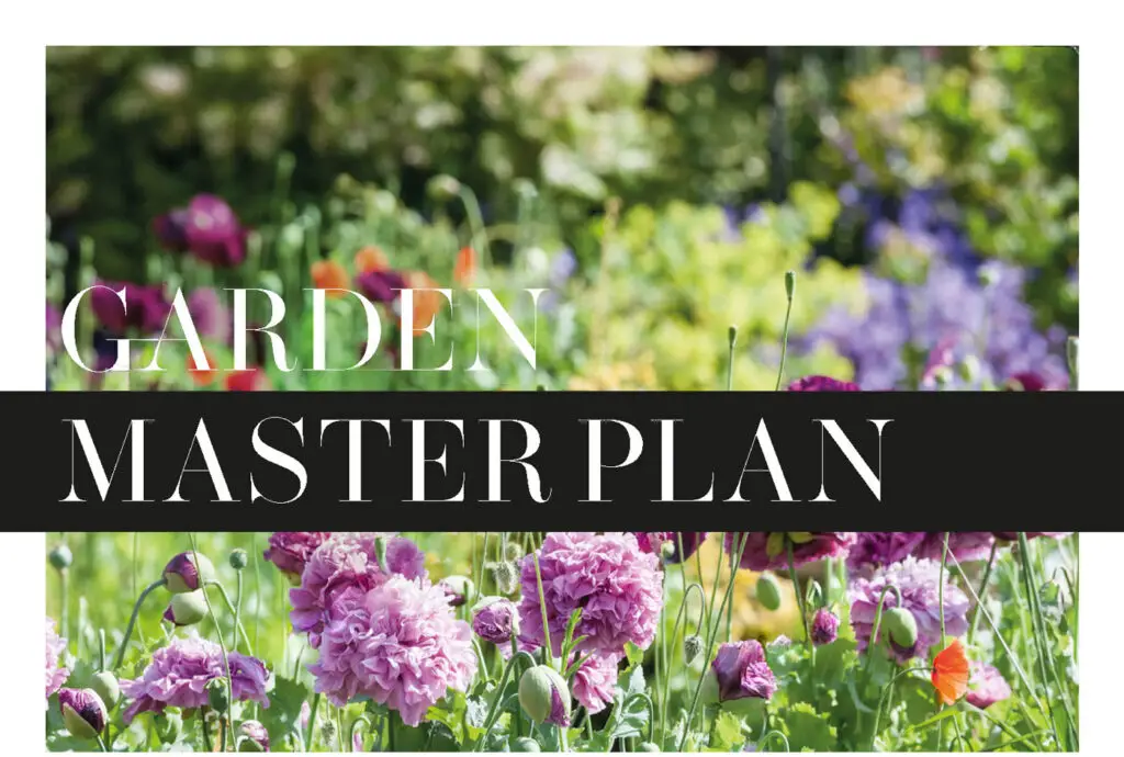 Chelsea Garden Masterplan