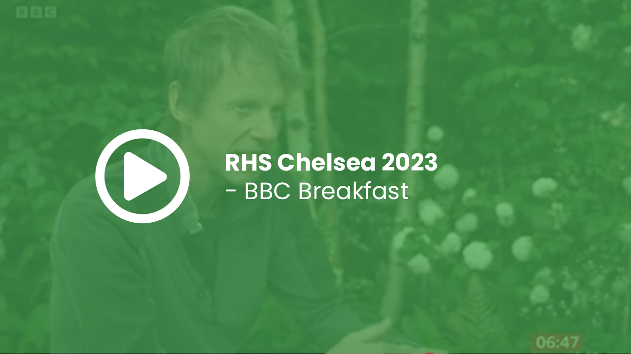 RHS Chelsea 2023 - BBC Breakfast