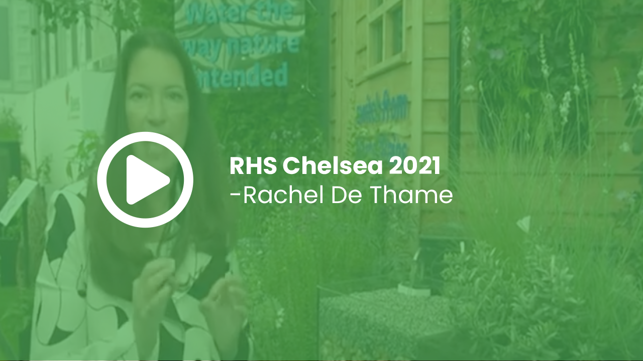 RHS Chelsea 2021 - Rachel De Thame
