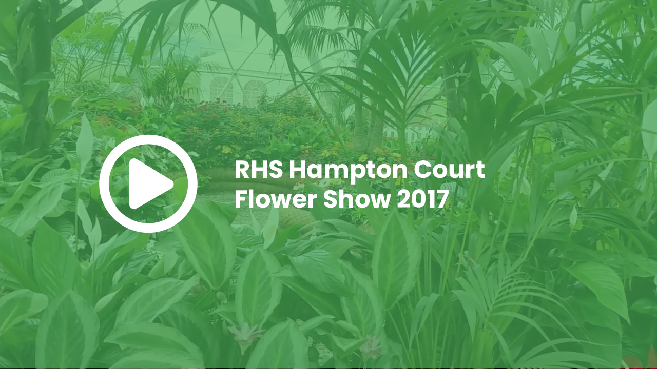 RHS Hampton Court 2017 - Butterfly Dome