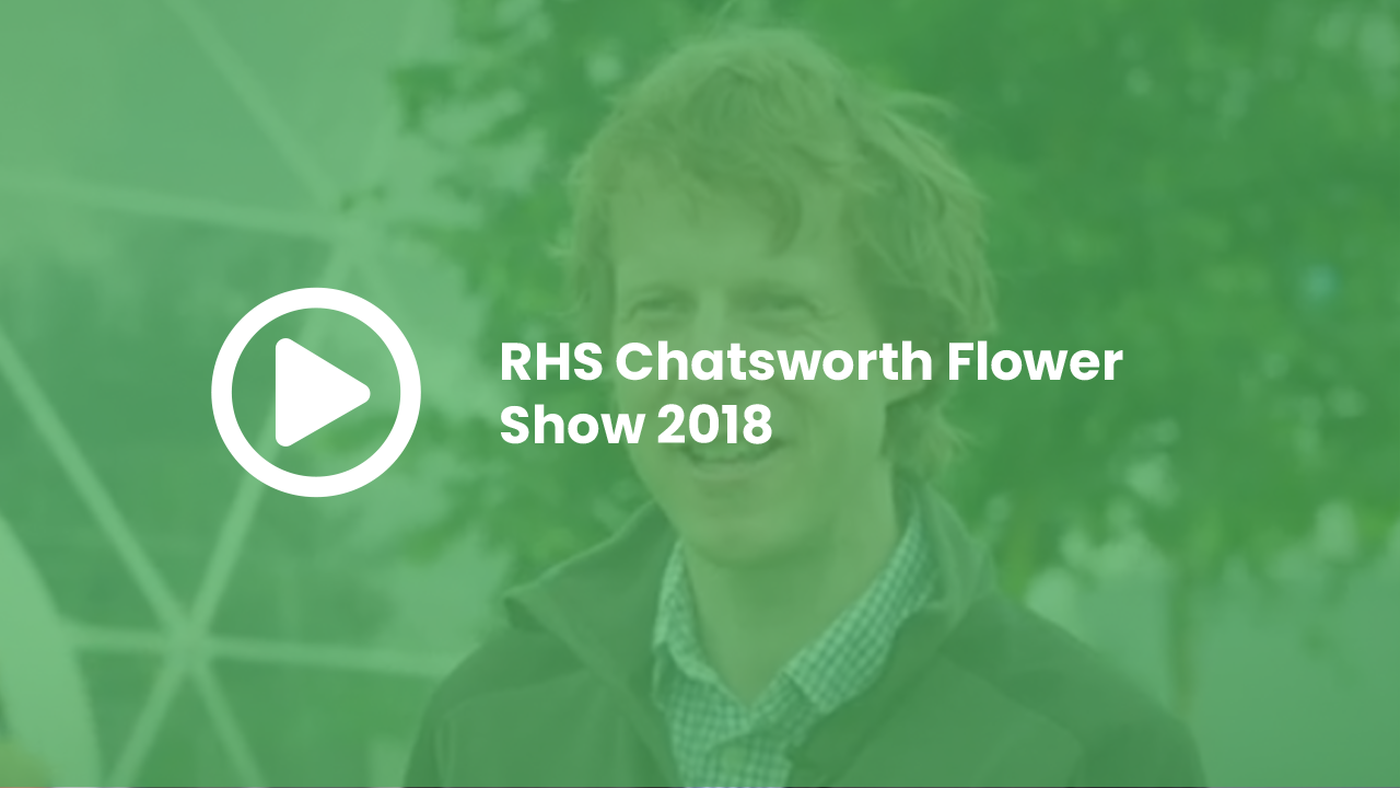 RHS Chatsworth Flower Show 2018