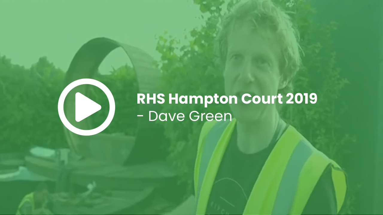 RHS Hampton Court 2019 - Dave Green