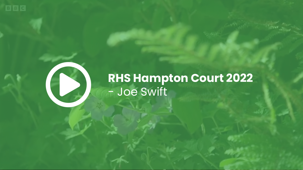 RHS Hampton Court 2022 - Joe Swift
